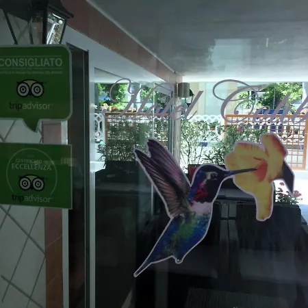 Colibri Ρίμινι
