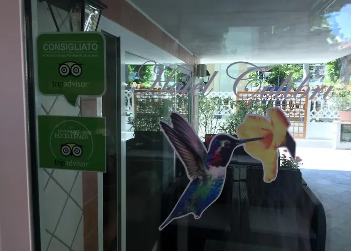 Colibri Rimini